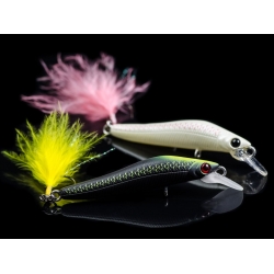 MOLIX  JUBARINO  AREA